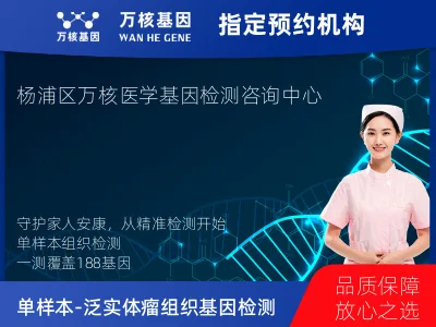 上海市杨浦区单样本-泛实体瘤组织188基因检测