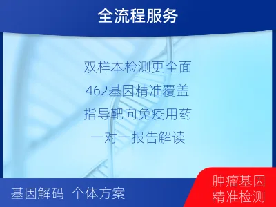 项城-双样本-实体瘤组织462基因-报告解读