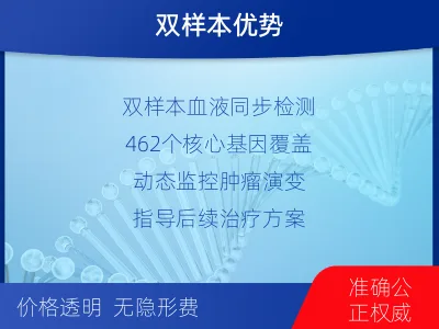 丹凤-双样本-实体瘤血液462基因-报告解读