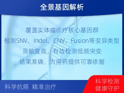 靖安-单样本-实体瘤组织基因检测-报告解读
