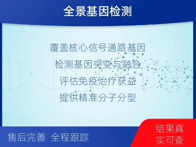 东兴-实体瘤组织基因分子分型-报告解读