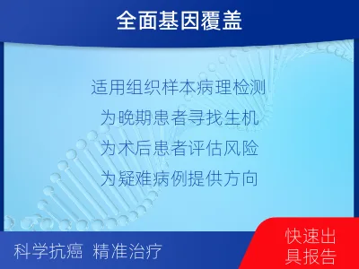 新密-泛实体瘤组织基因检测-报告解读