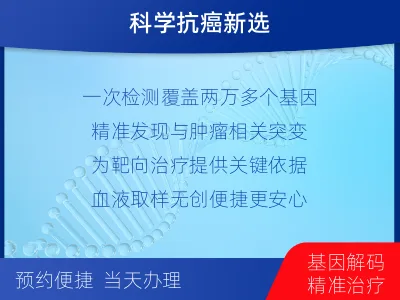 桐庐-肿瘤全外显子组基因检测-血液-报告解读