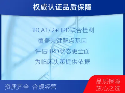 平顺-双样本-实体瘤组织BRCA1-检测流程