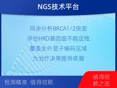 东宝-双样本-实体瘤组织BRCA1-报告解读