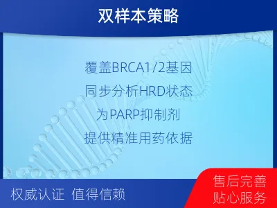 洞口-双样本-实体瘤组织BRCA1-检测介绍