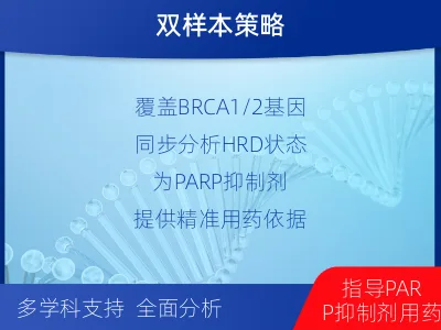 彭州-双样本-实体瘤组织BRCA1-检测介绍