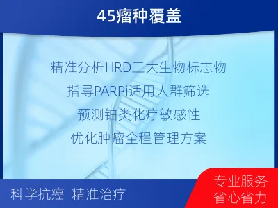 红桥-DNA损伤修复45-肿瘤同源-适用人群