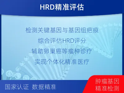 滦南-DNA损伤修复45-肿瘤同源-适用人群