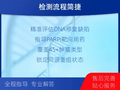 郧西-DNA损伤修复45-肿瘤同源-报告解读