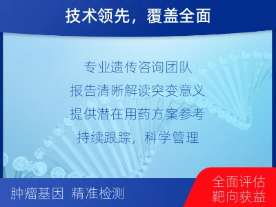 沈丘-泛实体瘤基因-肿瘤同源重组缺-报告解读
