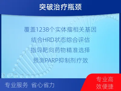房-泛实体瘤基因-肿瘤同源重组缺-适用人群