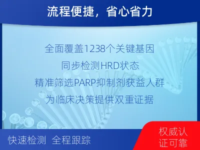西峰-泛实体瘤基因-肿瘤同源重组缺-报告解读