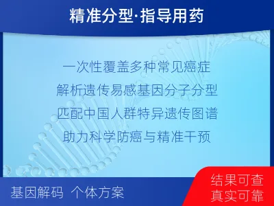 路北-多癌种遗传易感基因分子分型-检测流程