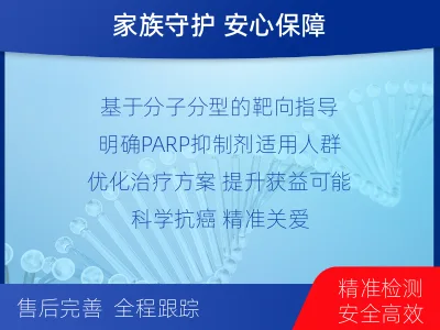 讷河-双样本-BRCA1基因组织分-报告解读