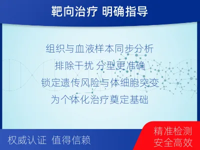 讷河-双样本-BRCA1基因组织分-检测流程