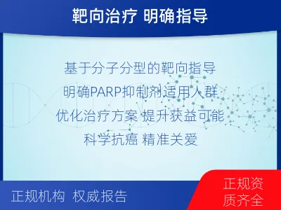 郸城-双样本-BRCA1基因组织分-检测流程