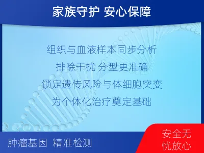 竹山-双样本-BRCA1基因组织分-检测流程