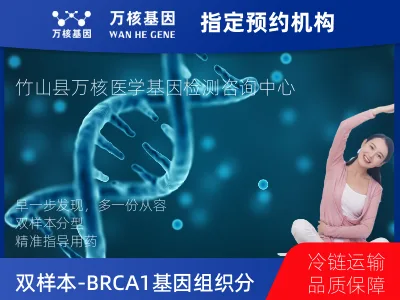 十堰市竹山县双样本-BRCA1/2基因组织分子分型研究