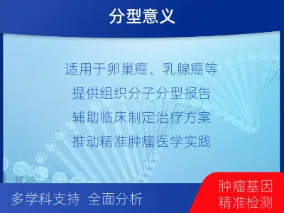 洞口-双样本-BRCA1基因组织分-适用人群