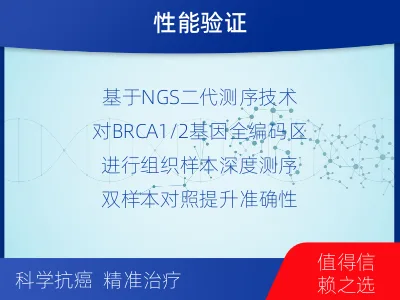 永定-双样本-BRCA1基因组织分-适用人群
