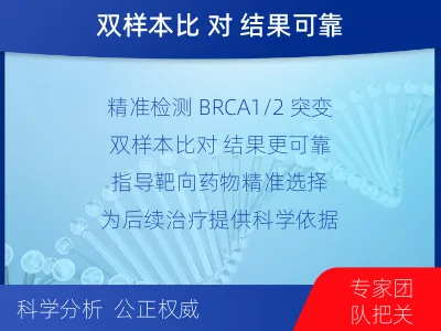 当雄-双样本-BRCA1基因组织分-报告解读