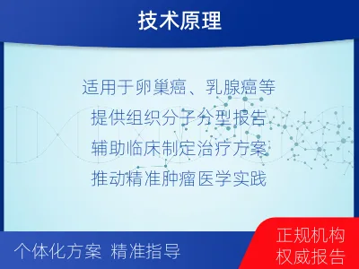 太白-双样本-BRCA1基因组织分-检测流程