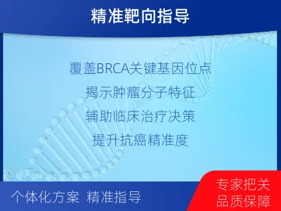 天祝-双样本-BRCA1基因组织分-报告解读