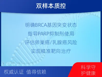 东兴-双样本-BRCA1基因血液分-检测介绍