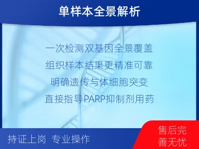 锦江-单样本-BRCA1基因组织分-检测介绍