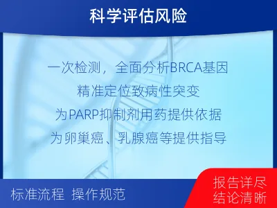 平利-单样本-BRCA1基因组织分-适用人群