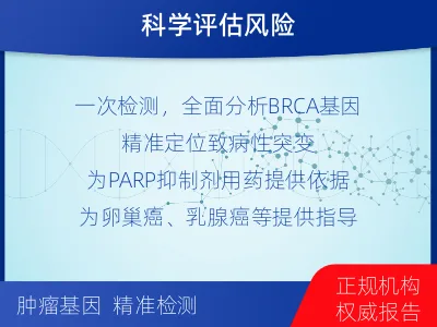 商洛-单样本-BRCA1基因组织分-适用人群