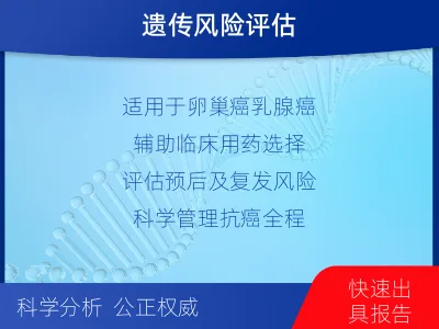 小店-单样本-BRCA1基因血液分-检测流程