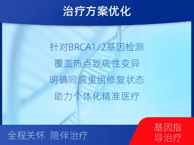杜集-单样本-BRCA1基因血液分-报告解读