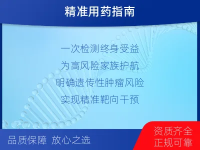商南-单样本-BRCA1基因血液分-检测介绍