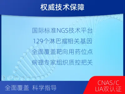路北-单样本-淋巴瘤组织基因检测-报告解读