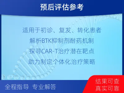 壶关-单样本-淋巴瘤组织基因检测-检测流程