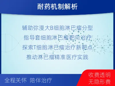 山阳-单样本-淋巴瘤组织基因检测-检测介绍