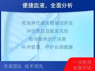 淮阳-单样本-淋巴瘤血液基因检测-报告解读