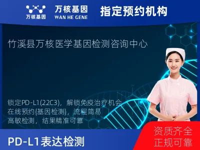 十堰市竹溪县PD-L1表达检测（22C3）