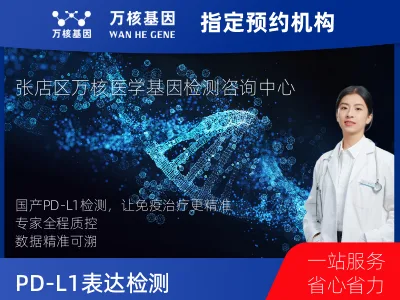 淄博市张店区PD-L1表达检测（国产）