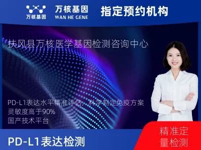 宝鸡市扶风县PD-L1表达检测（国产）