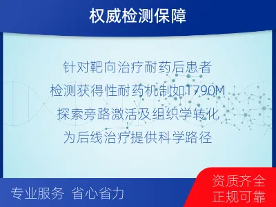 崆峒-肺癌基因检测-检测介绍