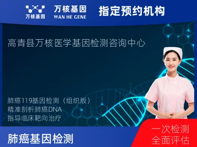 淄博市高青县肺癌-119基因（组织版）-单T