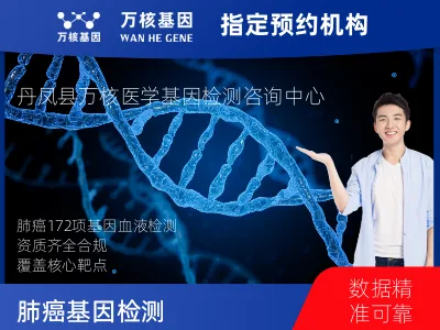 商洛市丹凤县肺癌-172基因（血液版）