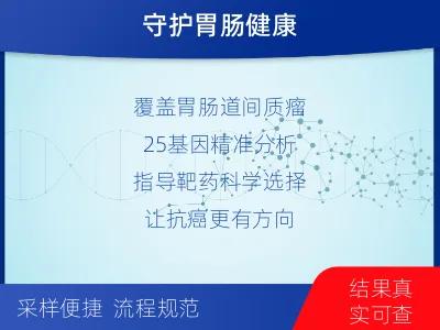 平原-消化道肿瘤靶药基因综合检测-检测流程