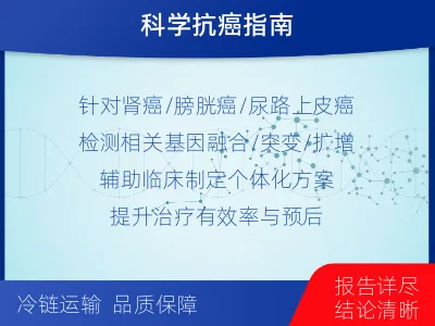 武乡-泌尿系统肿瘤靶药基因检测-检测流程