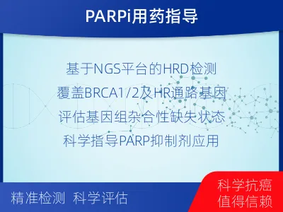 黎城-肿瘤同源重组缺陷-适用人群