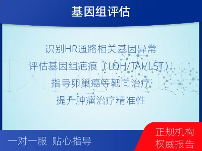 丰城-肿瘤同源重组缺陷-报告解读