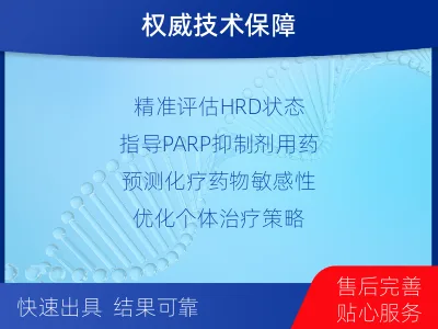 凉州-肿瘤同源重组缺陷-适用人群